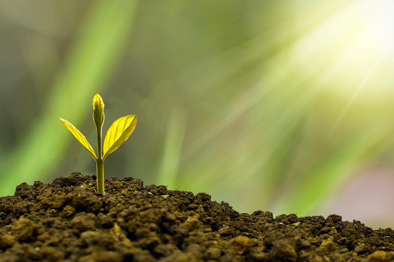 découvrez les clés du succès entrepreneurial avec nos conseils pratiques, nos stratégies éprouvées et notre accompagnement personnalisé pour transformez votre idée en une entreprise florissante.