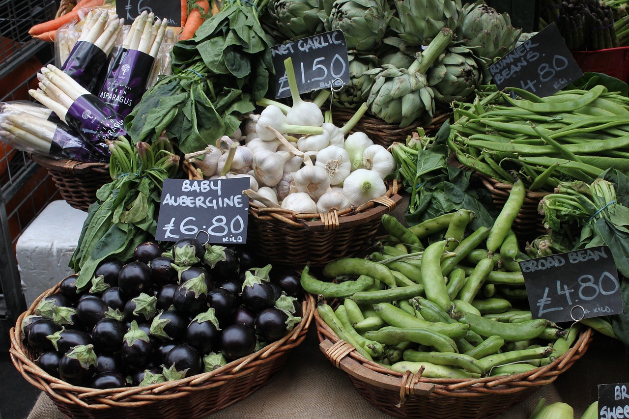découvrez notre analyse approfondie des zones de marché, incluant des stratégies, tendances et opportunités pour optimiser vos investissements et développer votre entreprise efficacement.