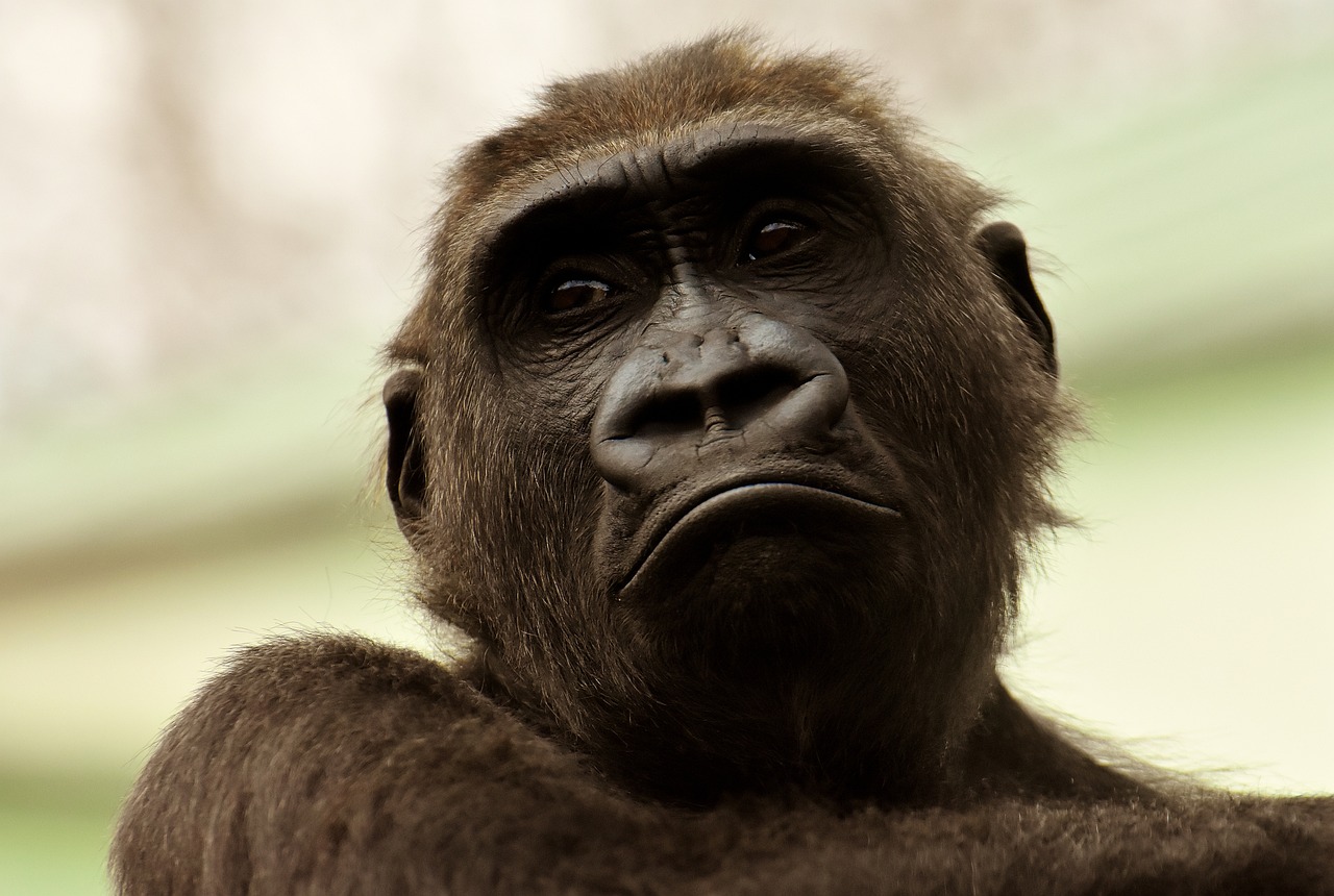 Comprendre le code APE : un outil essentiel pour les entrepreneurs