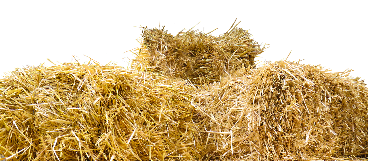 Clarification des rôles : pourquoi est-ce essentiel pour une équipe efficace ?