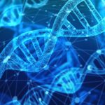 découvrez les dernières tendances en matière d'innovation, explorez des idées novatrices et inspirez-vous des avancées technologiques qui transforment notre quotidien.