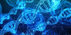 découvrez les dernières tendances en matière d'innovation, explorez des idées novatrices et inspirez-vous des avancées technologiques qui transforment notre quotidien.
