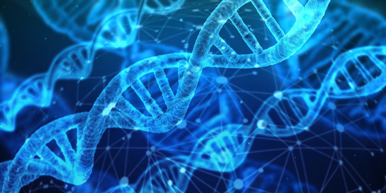 découvrez les dernières tendances en matière d'innovation, explorez des idées novatrices et inspirez-vous des avancées technologiques qui transforment notre quotidien.