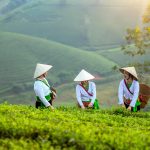 découvrez le monde dynamique de l'entrepreneuriat féminin, où les femmes innovent et mènent des projets inspirants. explorez des conseils, des témoignages et des ressources pour soutenir les femmes dans leur parcours entrepreneurial et renforcer leur impact dans les affaires.
