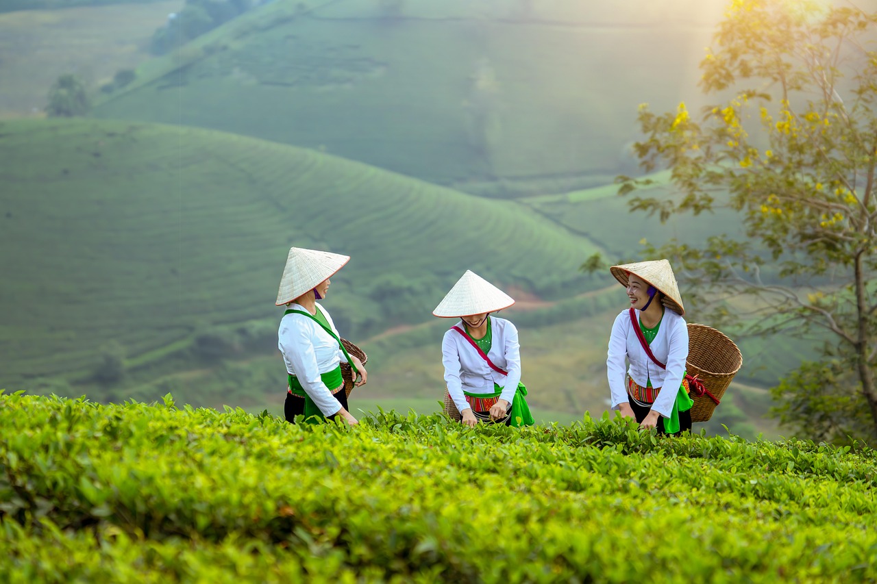 découvrez le monde dynamique de l'entrepreneuriat féminin, où les femmes innovent et mènent des projets inspirants. explorez des conseils, des témoignages et des ressources pour soutenir les femmes dans leur parcours entrepreneurial et renforcer leur impact dans les affaires.