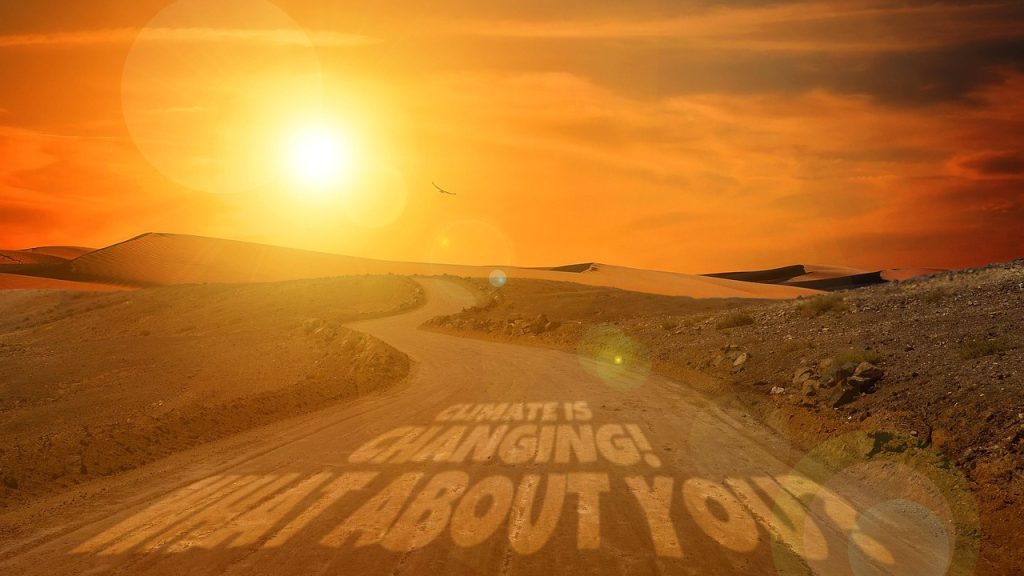 La Pyramide De Maslow Comprendre Les Besoins Humains 