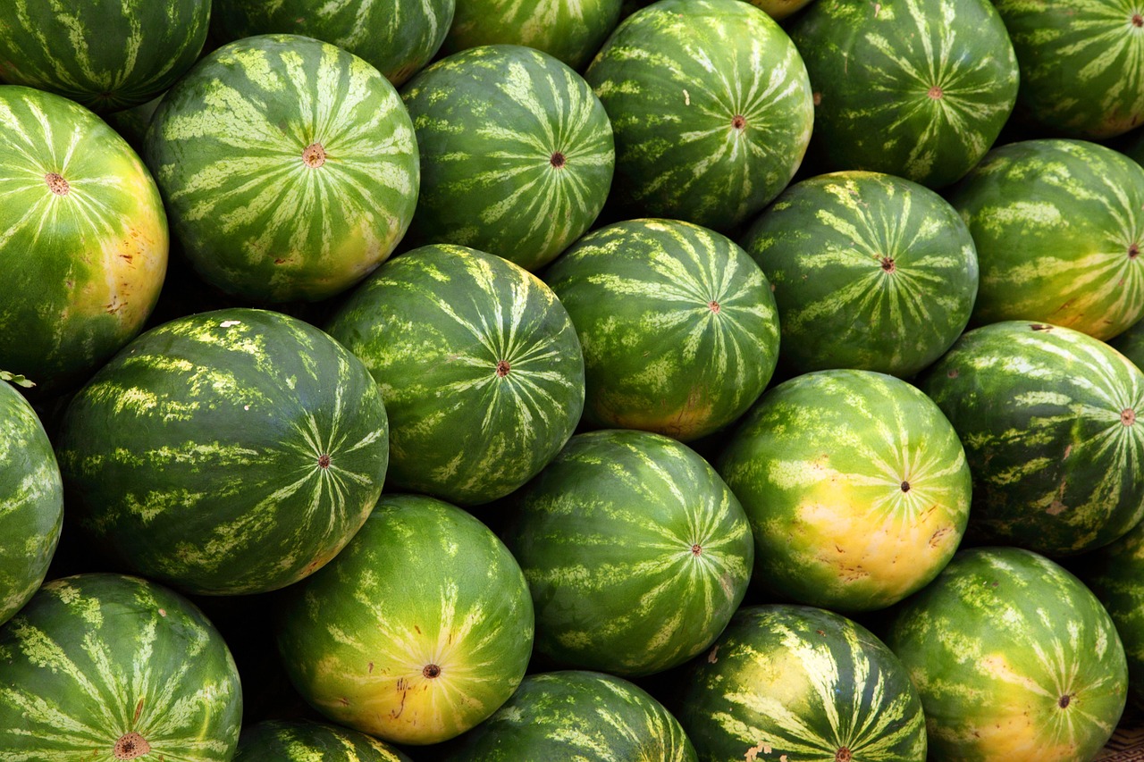 découvrez les marchés émergents, ces zones en pleine croissance qui offrent d'innombrables opportunités d'investissement et de développement. apprenez comment naviguer dans ces économies en évolution rapide et maximisez votre potentiel financier.