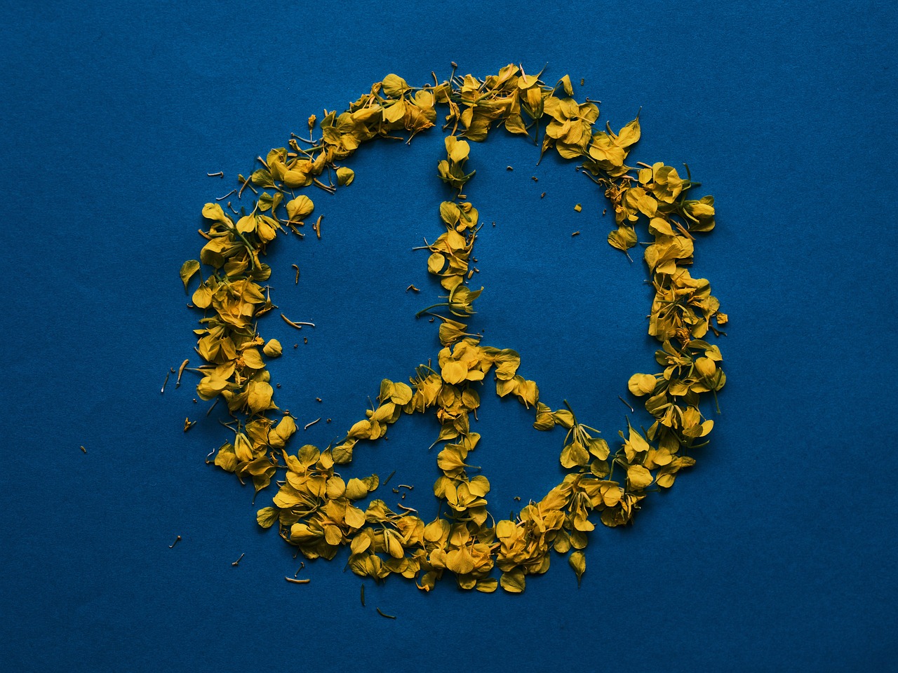 découvrez le pouvoir de l'indépendance, un voyage vers la liberté personnelle et l'autonomie. apprenez à cultiver votre indépendance financière, émotionnelle et sociale pour atteindre vos objectifs et vivre pleinement.